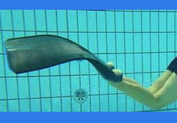 fin_swim_05